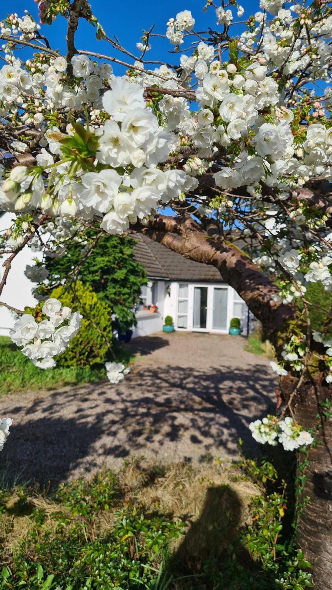Nara Seaside Retreat Leilighet Cultra Eksteriør bilde